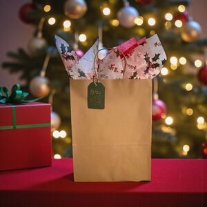 XMS -11 
Festive Holiday Gift Bag with Tissue Paper, Tag and Bow